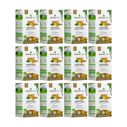 Organic Moringa Tea - Ginger - Caffeine-Free Herbal Tea