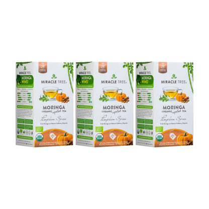Organic Moringa Tea - Pumpkin Spice - Caffeine-Free Herbal Tea