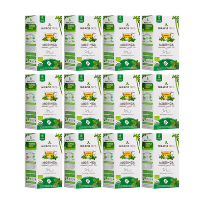 Organic Moringa Tea - Mint - Caffeine-Free Herbal Tea