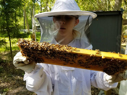 Cinnamon Honey-2