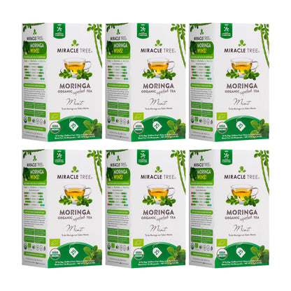 Organic Moringa Tea - Mint - Caffeine-Free Herbal Tea