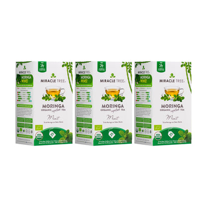 Organic Moringa Tea - Mint - Caffeine-Free Herbal Tea