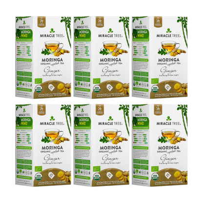 Organic Moringa Tea - Ginger - Caffeine-Free Herbal Tea